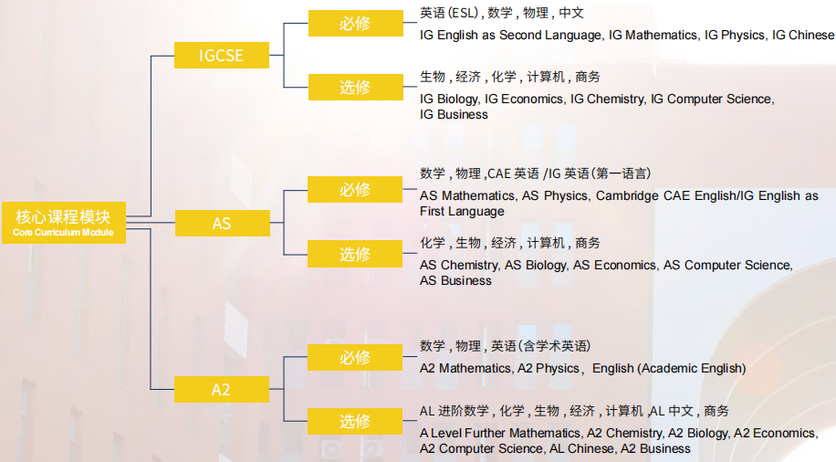 北外國(guó)際課程中心2022秋季招生啟動(dòng)