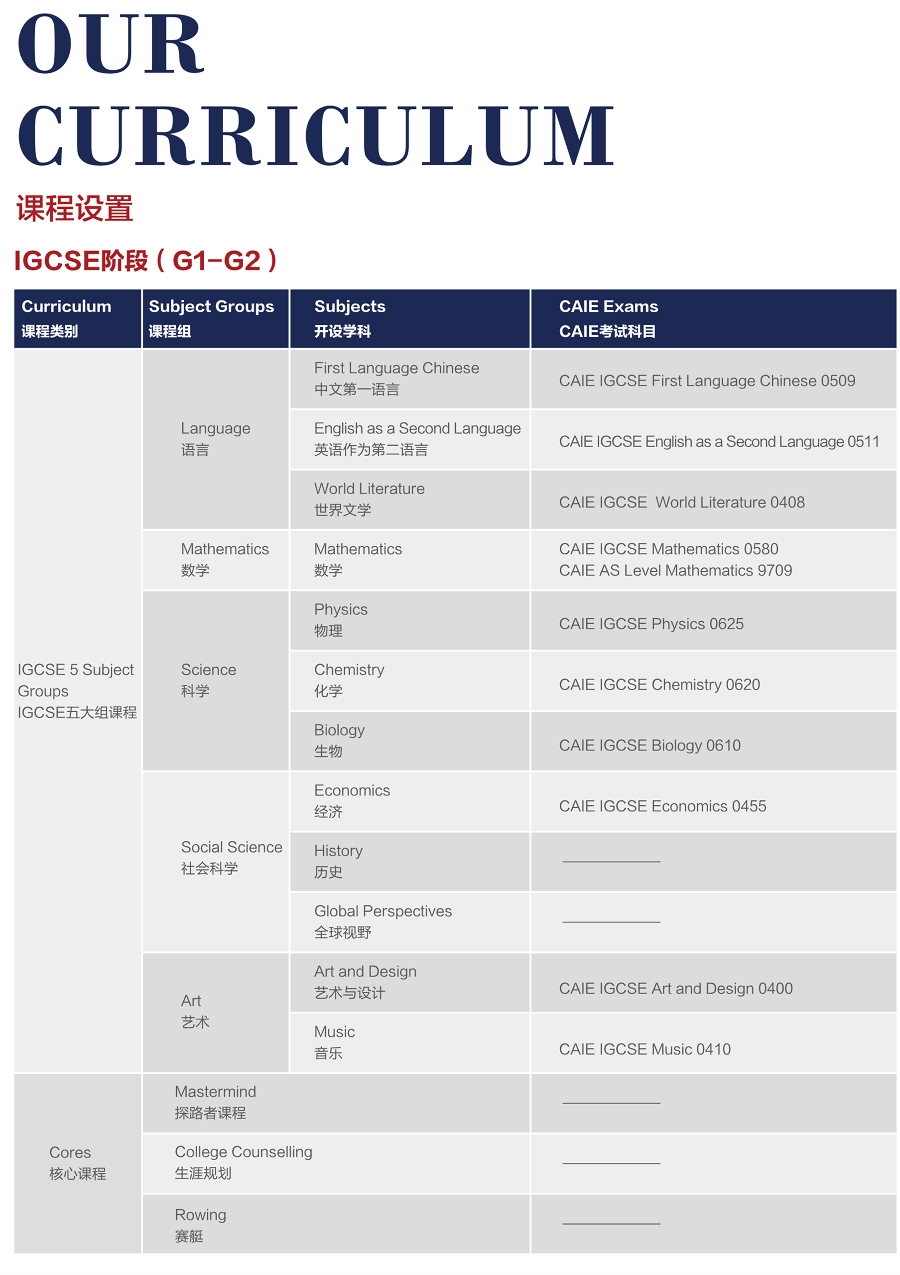 上海德英樂學院開設哪些課程？