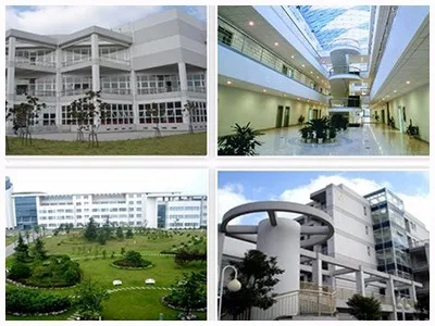 上海國際學校學費