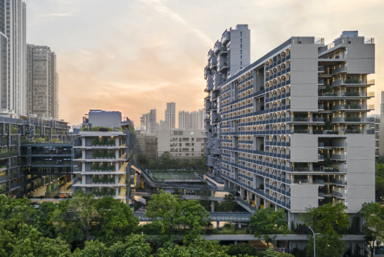 2024擇校攻略！深圳國際學校推薦盤點！