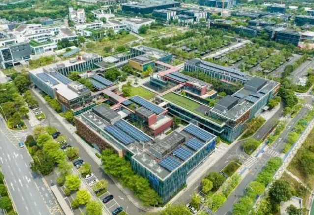 2025年深圳灣國際藝術(shù)教育招生學(xué)費、招生對象、招生年級