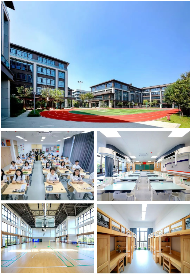杭州維翰學校國際部2025年秋季招生簡章！