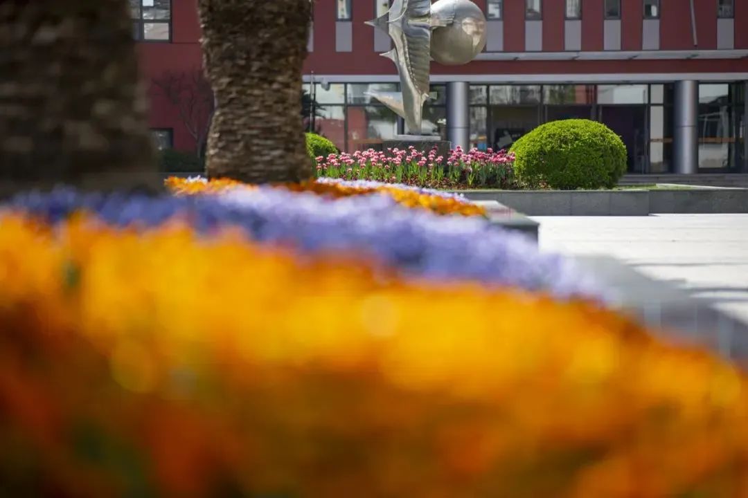 上海IB國際學校有哪些推薦的學校？一、二梯隊IB學校大盤點！