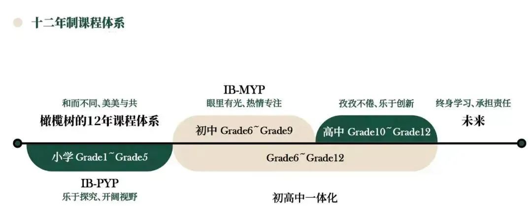杭州橄欖樹(shù)學(xué)校課程深度剖析