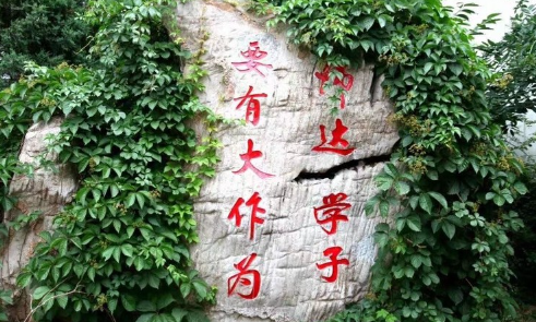 北京市師達中學(xué)國際部課程設(shè)置