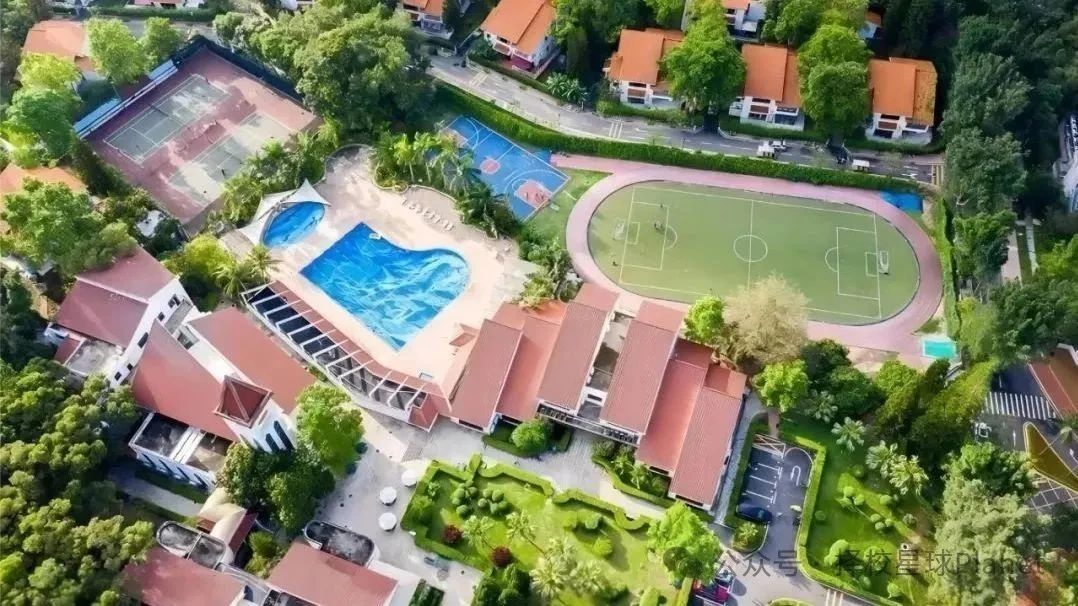 深圳蛇口國際學校