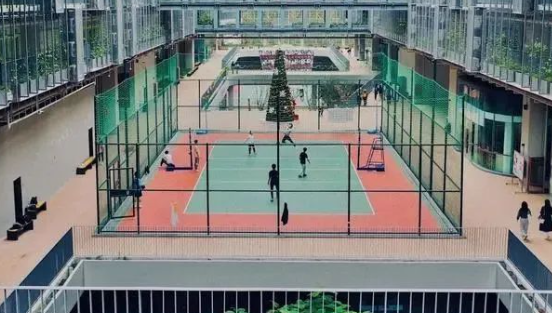 2024年深圳國際交流學(xué)院基本招生信息