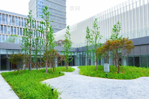 蘇州薈同學(xué)校高中部入學(xué)考試